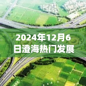 驾驭未来，澄海展翅，2024年12月6日澄海热门发展的辉煌启示录