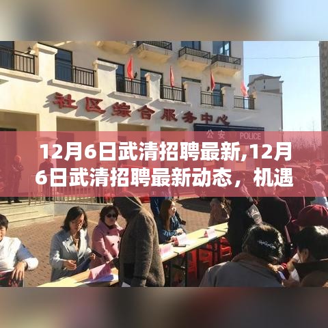 12月6日武清招聘最新动态，机遇与挑战并存