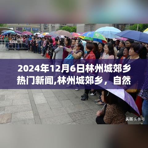 2024年12月6日林州城郊乡热门新闻,林州城郊乡，自然秘境之旅，一场心灵与美景的邂逅——2024年12月6日热门新闻