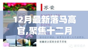 十二月落马高官背后的故事与启示聚焦落马高官背后的故事与教训