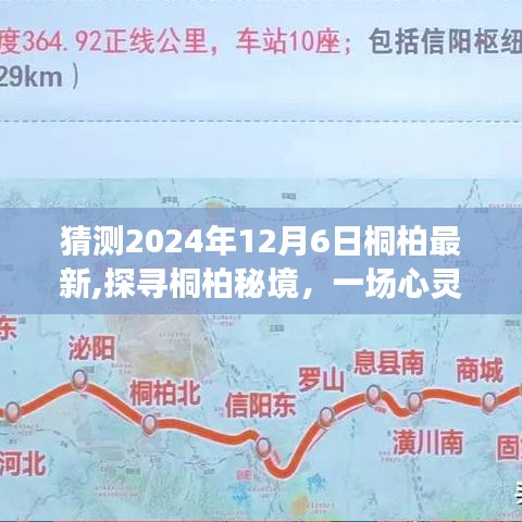 探寻桐柏秘境，心灵与自然的邂逅之旅——桐柏行，2024年12月6日最新探索活动预告