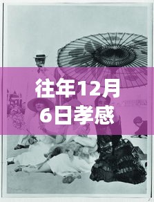 孝感东方丽都特色小店惊喜之旅，隐秘小巷的独特风情揭秘往年最新动态