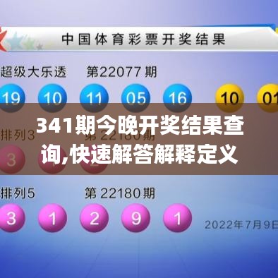 341期今晚开奖结果查询,快速解答解释定义_N版9.828