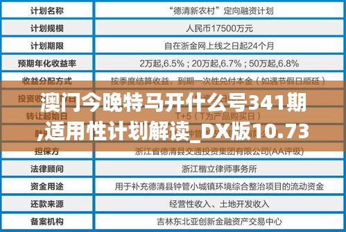 澳门今晚特马开什么号341期,适用性计划解读_DX版10.730