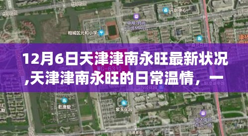 天津津南永旺，冬日暖阳下的日常温情与奇遇记最新报道