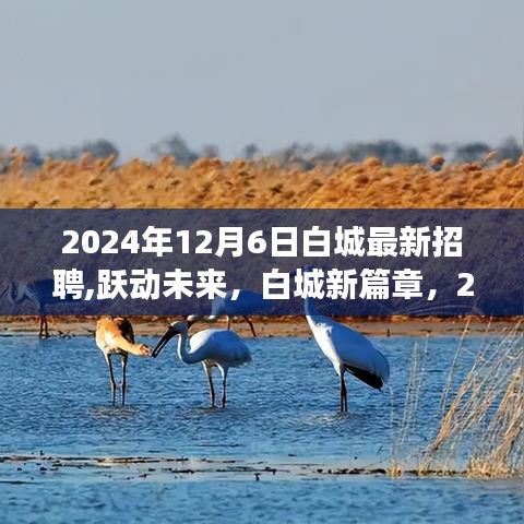 跃动未来，白城最新招聘启幕，2024年12月6日共筑成长新篇章