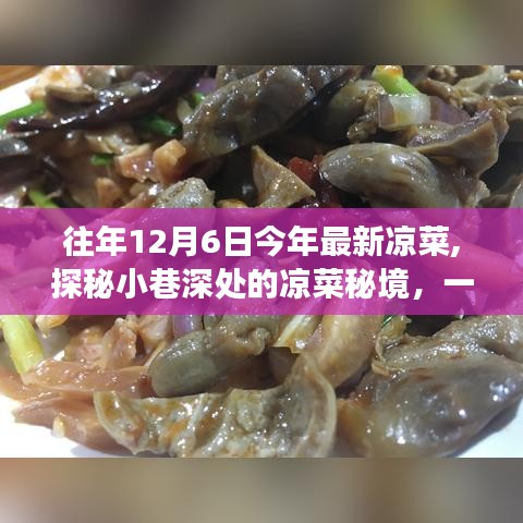 探秘小巷深处的凉菜秘境，特色小店独特美食之旅，揭秘今年最新凉菜趋势