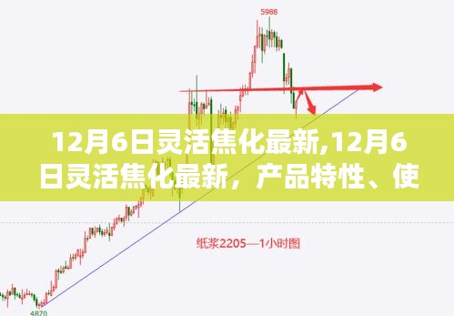 12月6日灵活焦化产品深度解析，特性、用户体验与目标用户群体探讨