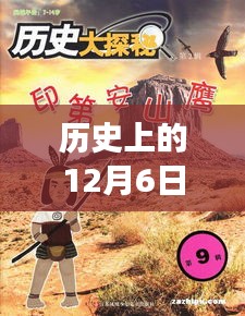 探秘历史上的胖虎宝藏，特色小店之旅的隐藏篇章——12月6日胖虎最新网站揭秘