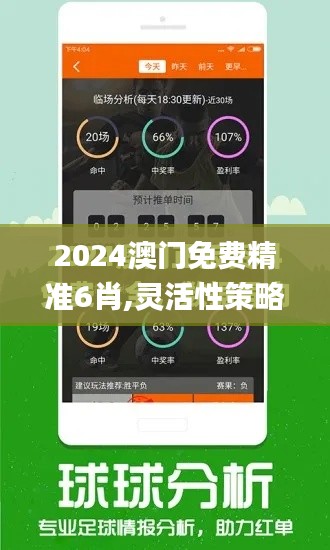 2024澳门免费精准6肖,灵活性策略解析_Plus1.949