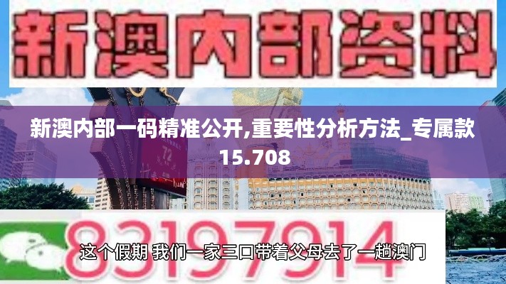 新澳内部一码精准公开,重要性分析方法_专属款15.708