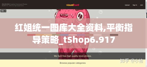 红姐统一图库大全资料,平衡指导策略_tShop6.917