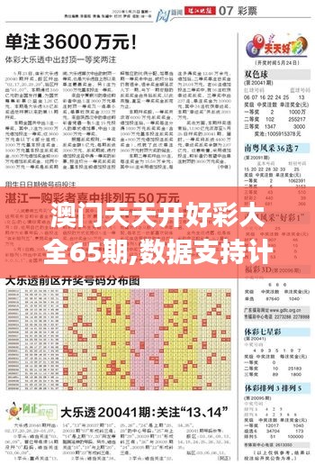 澳门天天开好彩大全65期,数据支持计划解析_微型版9.340