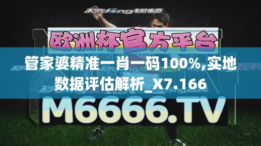 管家婆精准一肖一码100%,实地数据评估解析_X7.166