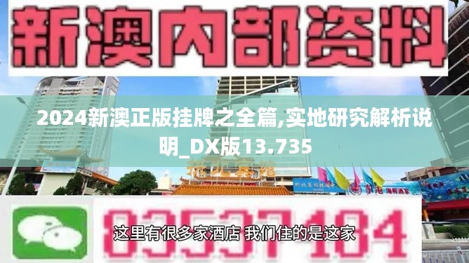 2024新澳正版挂牌之全篇,实地研究解析说明_DX版13.735