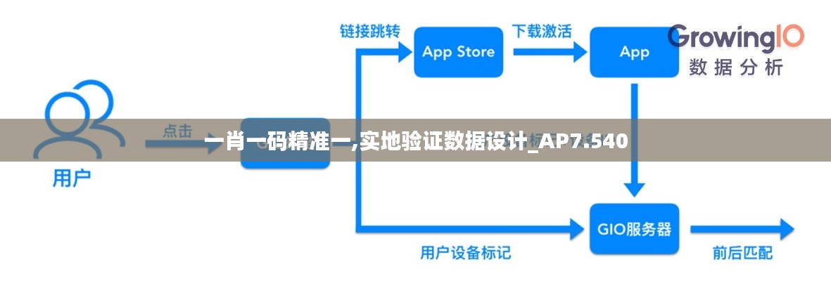 一肖一码精准一,实地验证数据设计_AP7.540