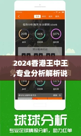 2024香港王中王,专业分析解析说明_9DM6.266