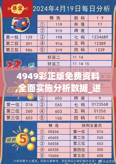 4949彩正版免费资料,全面实施分析数据_进阶版4.363