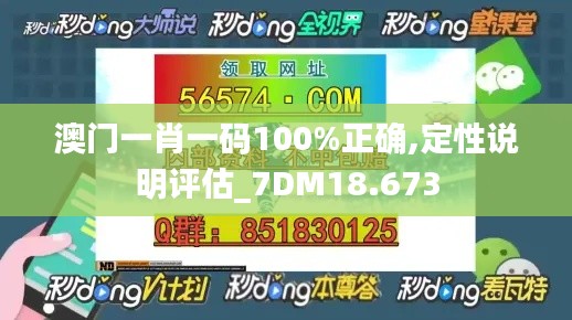 澳门一肖一码100%正确,定性说明评估_7DM18.673