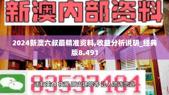 2024新澳六叔最精准资料,收益分析说明_经典版8.491