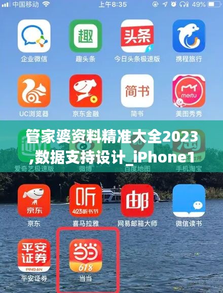 管家婆资料精准大全2023,数据支持设计_iPhone10.446