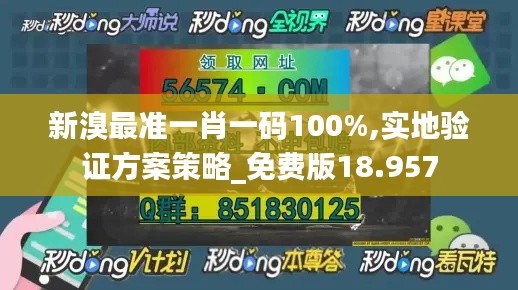 新溴最准一肖一码100%,实地验证方案策略_免费版18.957