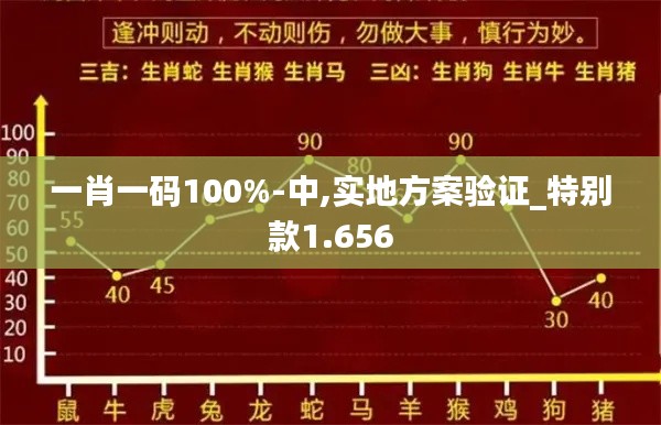 一肖一码100%-中,实地方案验证_特别款1.656