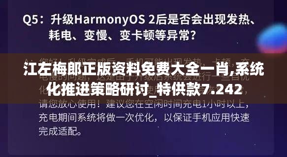 江左梅郎正版资料免费大全一肖,系统化推进策略研讨_特供款7.242