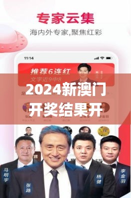 2024新澳门开奖结果开奖号码,实际应用解析说明_网页款9.142