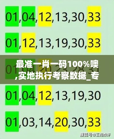 最准一肖一码100%噢,实地执行考察数据_专属款1.352