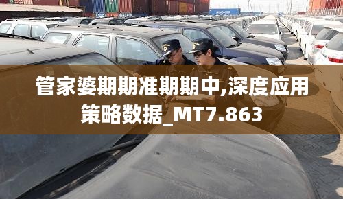 管家婆期期准期期中,深度应用策略数据_MT7.863