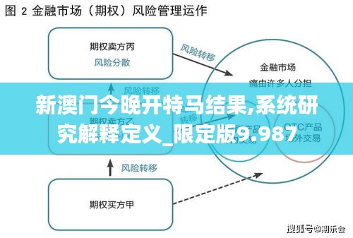 新澳门今晚开特马结果,系统研究解释定义_限定版9.987