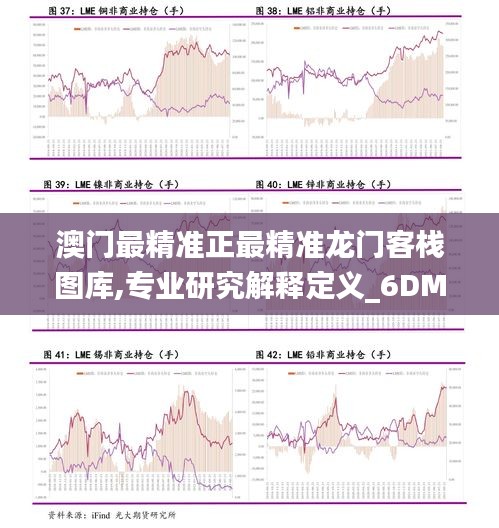 澳门最精准正最精准龙门客栈图库,专业研究解释定义_6DM16.127