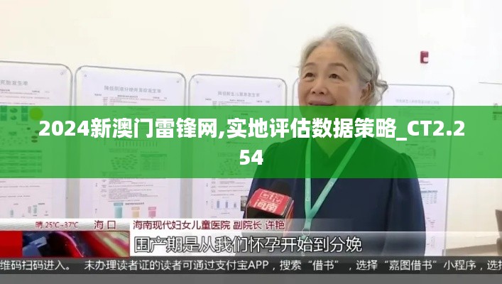 2024新澳门雷锋网,实地评估数据策略_CT2.254