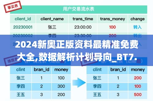 2024新奥正版资料最精准免费大全,数据解析计划导向_BT7.307