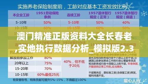 澳门精准正版资料大全长春老,实地执行数据分析_模拟版2.332