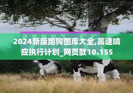 披沙拣金 第3页