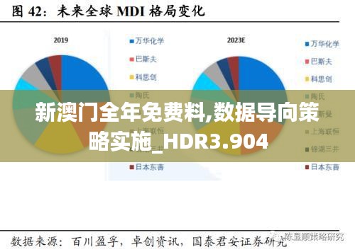 新澳门全年免费料,数据导向策略实施_HDR3.904