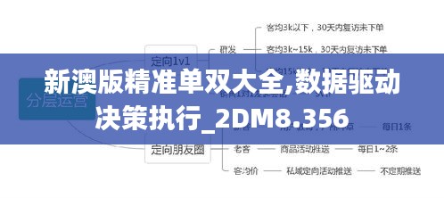 新澳版精准单双大全,数据驱动决策执行_2DM8.356