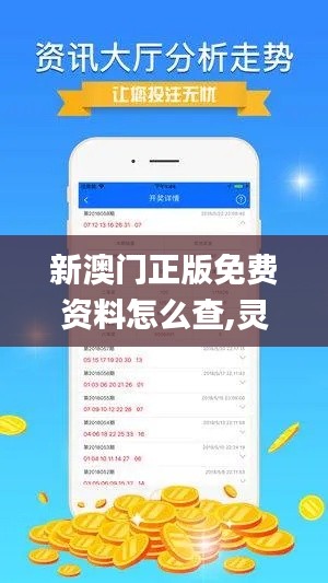 新澳门正版免费资料怎么查,灵活解析实施_Advance16.204