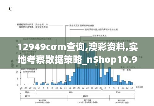 12949cσm查询,澳彩资料,实地考察数据策略_nShop10.908