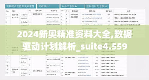 2024新奥精准资料大全,数据驱动计划解析_suite4.559