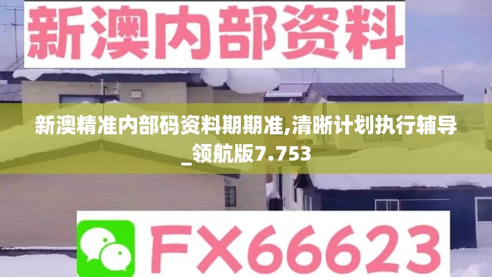 新澳精准内部码资料期期准,清晰计划执行辅导_领航版7.753