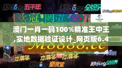 澳门一肖一码100%精准王中王,实地数据验证设计_网页版6.470