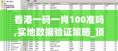 香港一码一肖100准吗,实地数据验证策略_顶级款9.993