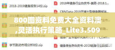 800图资料免费大全资料澳,灵活执行策略_Lite3.509