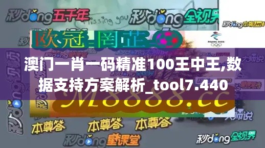 澳门一肖一码精准100王中王,数据支持方案解析_tool7.440