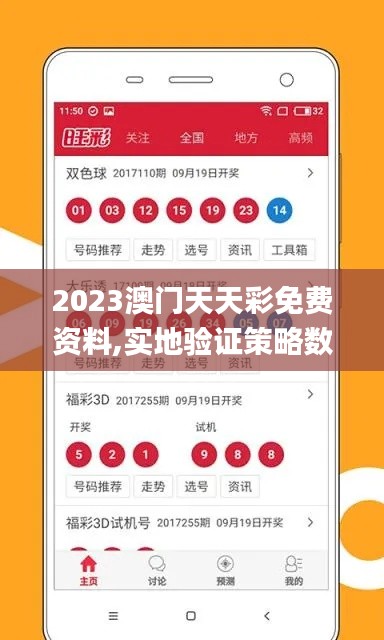 2023澳门天天彩免费资料,实地验证策略数据_交互版12.629