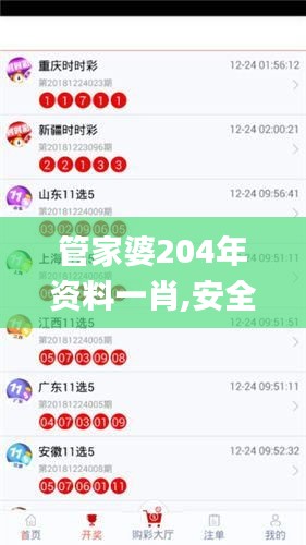 管家婆204年资料一肖,安全性策略评估_VR版4.917