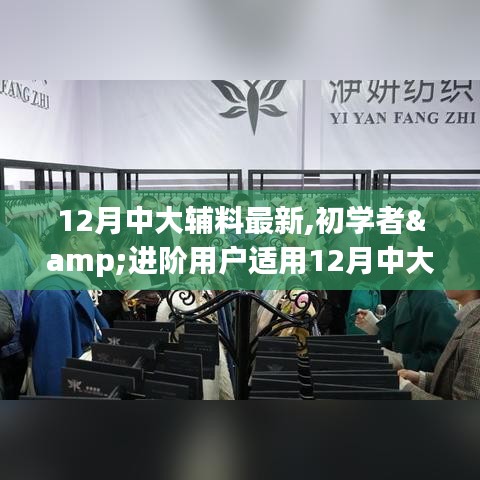 12月中大辅料最新应用指南，从初学者到进阶用户的技能掌握之路